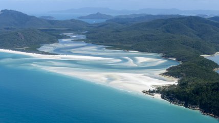  Un hombre murió por ataque de tiburón en Australia  