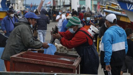   Vendedores de productos del mar se preparan y adaptan mecanismos para Semana Santa 