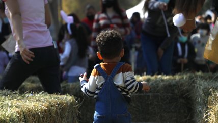   Como cada año, los niños salieron en búsqueda de los huevitos de chocolate 
