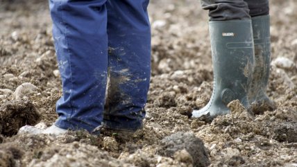   Investigación detectó elevados niveles de mercurio, arsénico, cobre y plomo en los suelos de Copiapó 