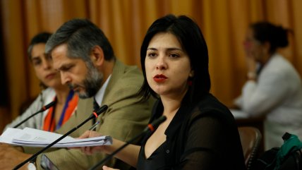   Karol Cariola interpeló a diputado republicano por gritar y golpear la mesa durante sesión 