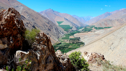   Atractivos y bondades del Valle del Elqui 
