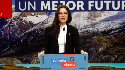   Ministra Vallejo: Declaraciones del Gobierno sobre el conflicto entre Israel y Palestina han sido coherentes 