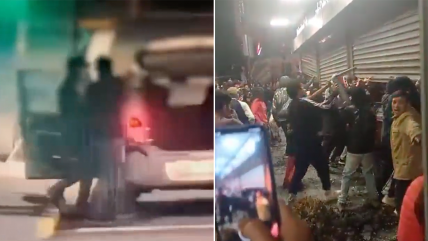   Manifestantes atacaron café de Valdivia acusado de matar a dos perros sin hogar 