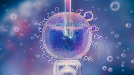 Hospital de Alabama pausó fertilizaciones in vitro tras fallo que dictaminó que embriones son niños Hospital de Alabama pausó fertilizaciones in vitro tras fallo que dictaminó que embriones son niños