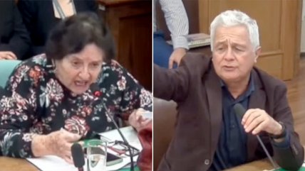   Esquizofrenia y suicidio: El comentario de diputada Cordero que desató polémica en Comisión de Salud 
