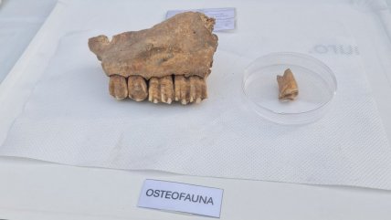 Metro exhibió hallazgos arqueológicos de la Línea 9 Metro exhibió hallazgos arqueológicos de la Línea 9