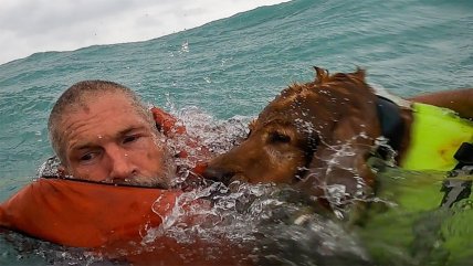   Hombre y su perro fueron rescatados tras naufragio causado por huracán Helene 