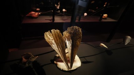   Exposición convirtió la famosa colección de caracolas de Neruda en una poesía 