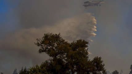  Alerta roja en San Fernando: Incendio forestal amenaza a viviendas  