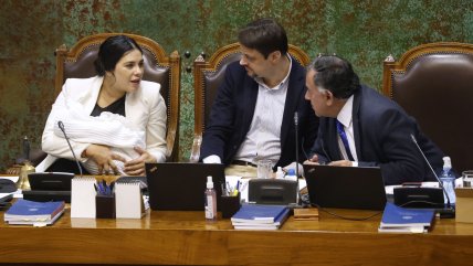   Vicepresidente de la Cámara: Todas las censuras son contra Cariola por ser comunista 