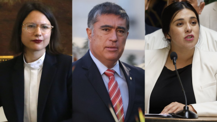   ﻿Desbordes y caso Cariola: No corresponde que un diputado pida agilizar una patente 