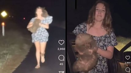   Influencer causó polémica al atrapar a cría de wombat para un video en Australia 