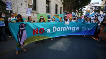   En Chile se vulneraron los derechos de 27 ambientalistas durante 2024, el año más violento 