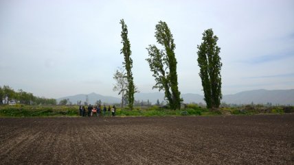   Justicia ambiental aprobó dos parques fotovoltaicos en Padre Hurtado 