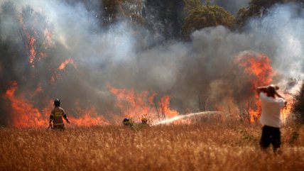  Grandes incendios forestales en Biobío, Ñuble, La Araucanía y Los Ríos  