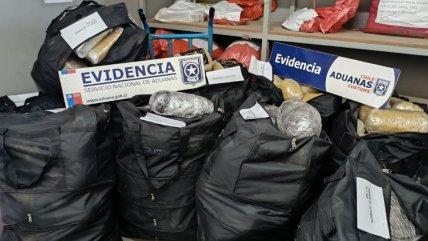  Tarapacá: Camionero fue detenido por trasladar casi 1.400 kilos de droga  