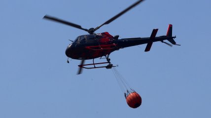  Incendios forestales en el Biobío: Fiscalía indagará presunta intencionalidad  