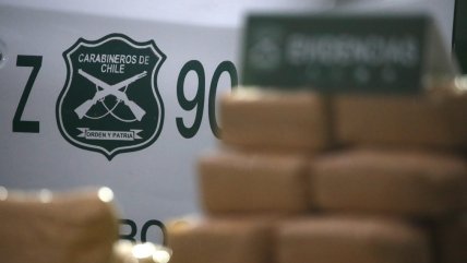   Perro policial y equipo de rayos X se lucieron en detección de 100 kilos de droga en Antofagasta 