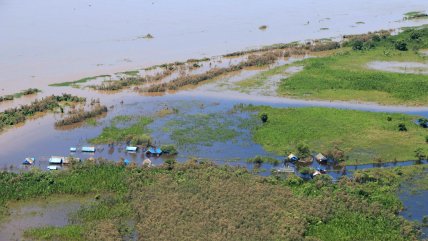   Lluvias en Bolivia dejan hasta 55 fallecidos y casi 600 mil familias afectadas 