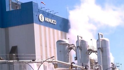  Arauco inició la construcción en Brasil de mayor fábrica de celulosa del mundo  