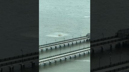  Varias personas murieron tras caída de helicóptero en Nueva York  