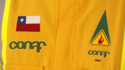   Fin de Conaf: Congreso despachó creación del Servicio Nacional Forestal 