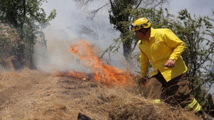 Alerta roja en Alto del Carmen por incendio forestal cercano a viviendas  