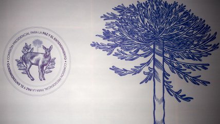  Naveillán sobre informe de Comisión por la Paz: 