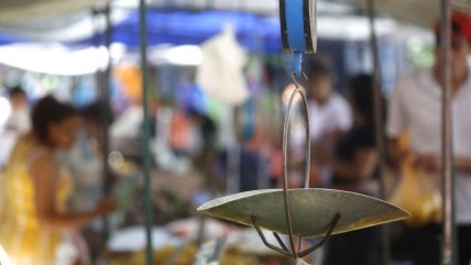   Intenso debate en la Cámara sobre proyecto tributario para feriantes 