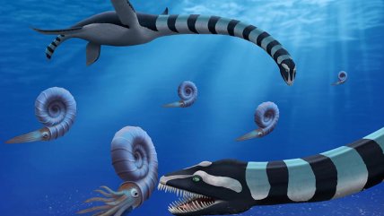 Investigador chileno participó en inédito hallazgo de un nuevo tipo de plesiosaurio Investigador chileno participó en inédito hallazgo de un nuevo tipo de plesiosaurio