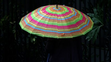  La Araucanía: Intensas lluvias provocan caída de árboles y cortes de luz  