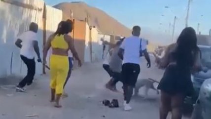 Detuvieron a delincuente que apuñaló a perro en Copiapó Detuvieron a delincuente que apuñaló a perro en Copiapó