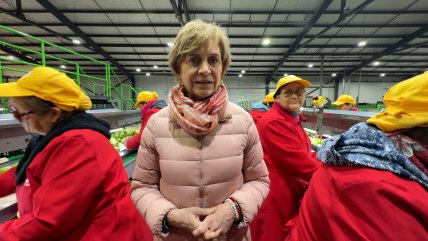   Matthei por arancel al cobre: 