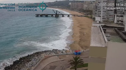  Alerta de tsunami: Cámaras en vivo de playas en Viña del Mar y Valparaíso 