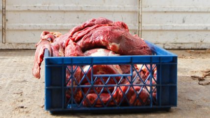   A 45 días del 18, investigan gran robo de carne en La Reina 