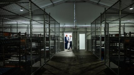   Primer mes de Alligator Alcatraz: 600 migrantes deportados y denuncias de opacidad y abusos 