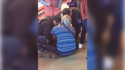   Turista coreano fue gravemente herido por un lobo marino en Valdivia 