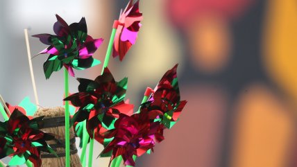   Creciendo Juntos: Cuidados y prevenciones con niños, niñas y adolescentes en Fiestas Patrias 