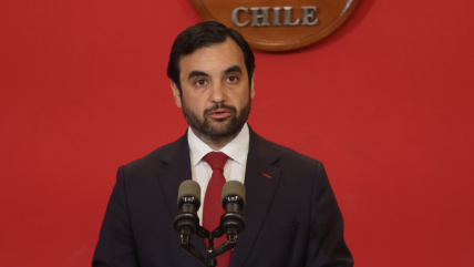   Fiscalía duda que Julia Chuñil fuera activista ambiental y el Gobierno discrepa 