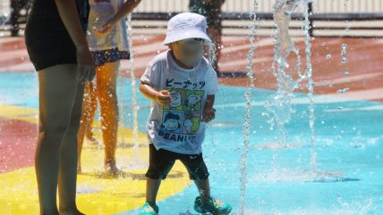   Creciendo Juntos: Recomendaciones para enfrentar las altas temperaturas 