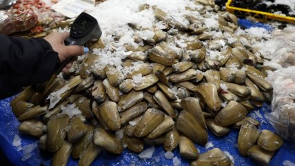  Tras nueve días, el Minsal levantó la alerta por marea roja en Tongoy  