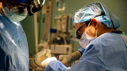  Coordinador Nacional de Trasplante: La cifra de donantes sigue siendo insuficiente  