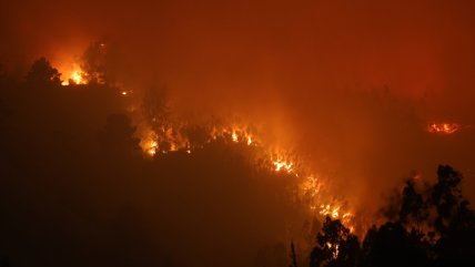  Riesgo de incendios en Chile se triplica: Análisis apunta a cambio climático y el suelo  