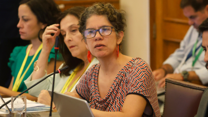   Dominga: Gobierno valora que Corte anulara fallo de Tribunal Ambiental contra Comité 